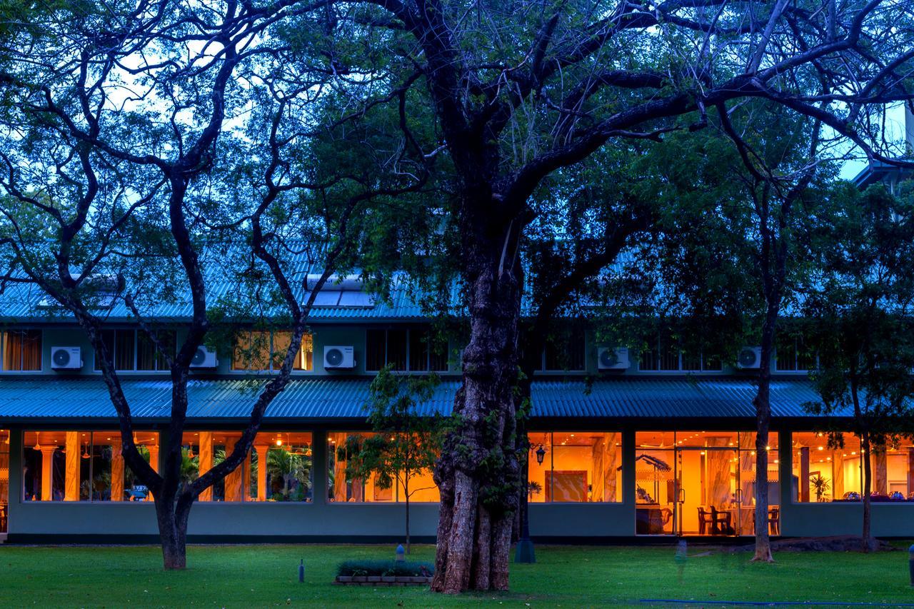Hotel Sudu Araliya Polonnaruwa Exterior photo